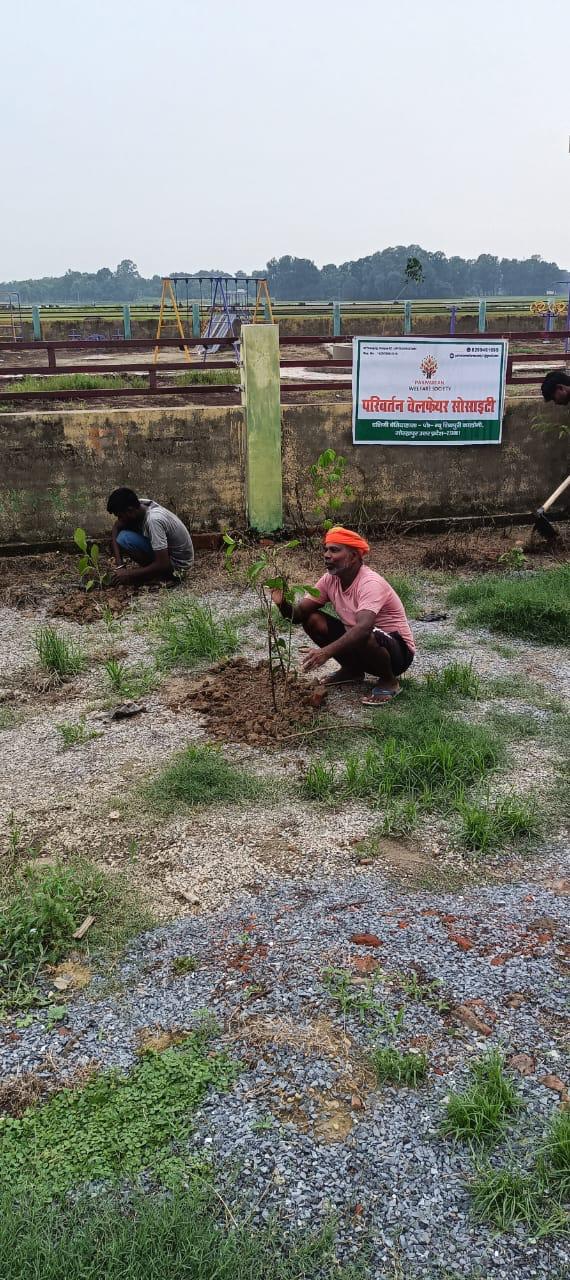 Volunteers planting saplings during tree plantation drive
