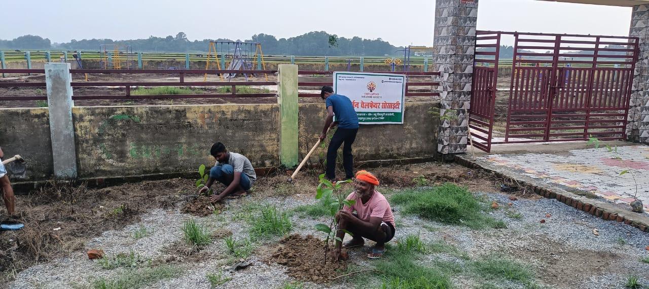 Volunteers planting saplings during a tree plantation drive